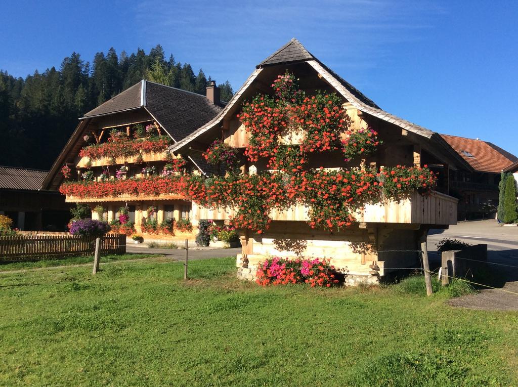 Emme Lodge Langnau Εξωτερικό φωτογραφία