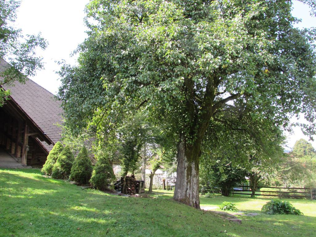 Emme Lodge Langnau Εξωτερικό φωτογραφία